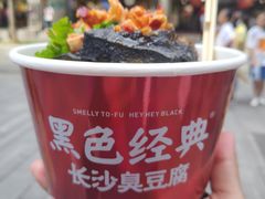 -黑色经典臭豆腐·湖南特产(坡子街店)