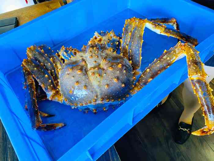 蟹后crabber-"城阳这样的店还不太多,人均四百左右吧,不.