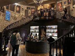 -雪灵魔法世界SHELLY’S TAROT(大良桂畔里店)