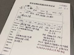 -爱侣宠医·鹦鹉专科·小型哺乳类·异宠专科(灵石路店)