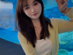 -横店影视城梦幻谷园区