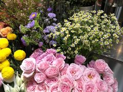 -植物学家的女儿(北马道巷店)