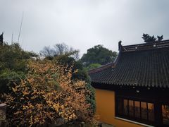 -兴福禅寺
