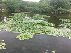 -白马涧龙池景区
