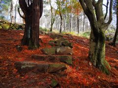 -莫干山风景区