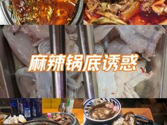 -小饕荟雅安贡椒鱼鲜馆(广福桥店)