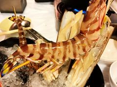 -鲜入围煮花胶鸡海鲜火锅