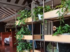 -金狮麟·新豫菜(杏石口路店)