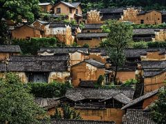 -杨家堂村