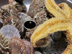 什锦海鲜锅-永红源啤酒·烧烤·海鲜·大排档(青特城店)