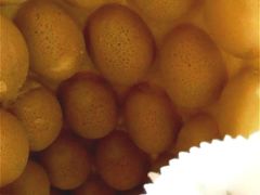 -利强记北角鸡蛋仔(弥敦道店 )