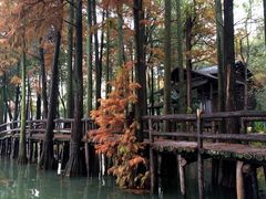 -东湖落雁景区