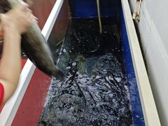 -活鱼馆(宜兴埠店)