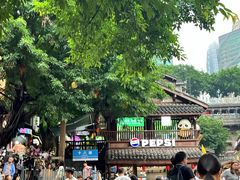 -重庆十八梯传统风貌区