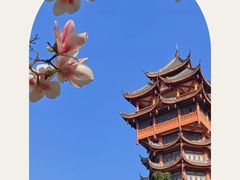 -塔子山公园