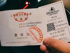 -迪士尼乐园停车场