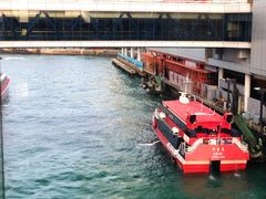 -信德中旅船务管理有限公司