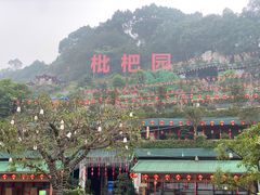 -枇杷园食为鲜火锅(南山店)
