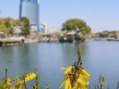 -无锡蠡湖国家湿地公园-蠡园