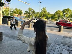 -金鸡湖桃花岛