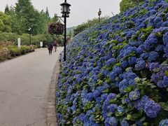 -苏州上方山国家森林公园