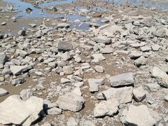-东疆建设开发纪念公园