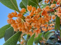 -苏州河梦清园环保主题公园