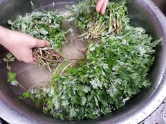 -龙津风雨桥