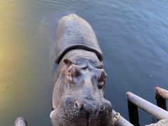 -杭州野生动物世界