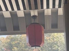 -千年银杏谷文化旅游区