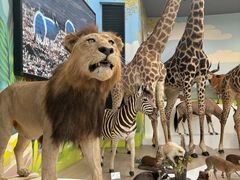 -陕西自然博物馆