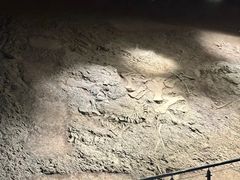 -世界恐龙谷景区