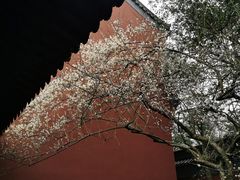 -钱王祠