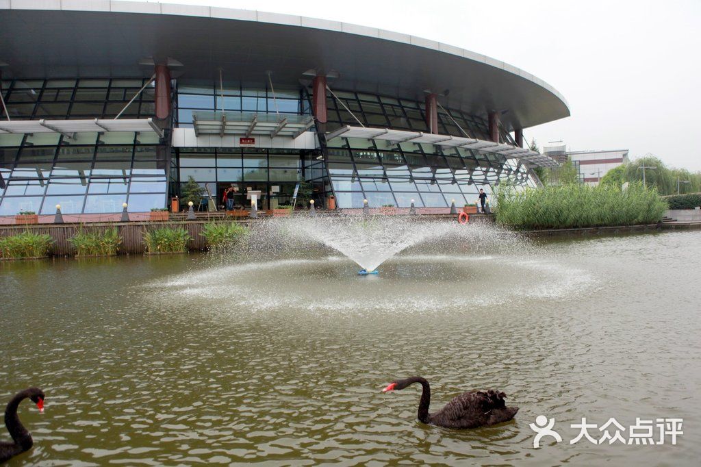 国家会计学院自助餐厅-黑天鹅图片-上海美食-大众点评网