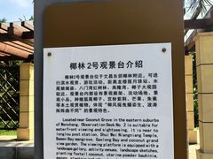 -东郊椰林