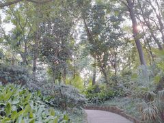 -成都市活水公园