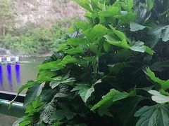 -茗荔园农庄(大涌店)