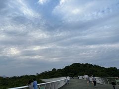 -飞凤山奥体公园
