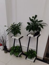 点击看大图 -香秀空间科技抗衰·美容中心