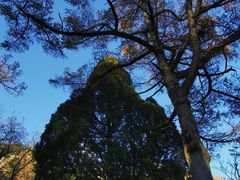 -崂山九水游览区