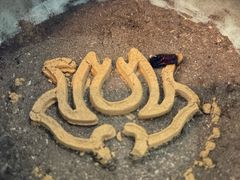 -世间香境·七溪地