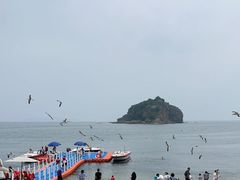 -棒棰岛宾馆景区