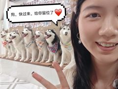 -星多哈·狗咖·拼豆·咖啡
