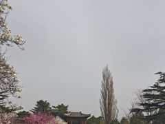 -国家植物园南园