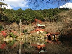 -醍醐寺