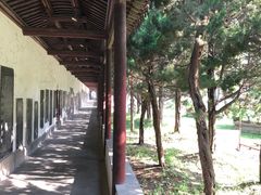 -苏州文庙(姑苏区)
