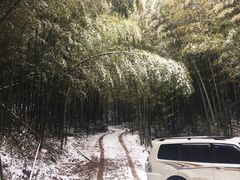 -石塘人家