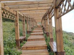 -白草畔自然风景区