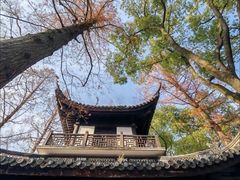 -汇龙潭