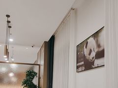 -金熊猫川菜餐厅